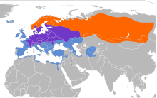 Omtrentleg geografisk utbreiing ██ Overvintringsområde██ Hekkeområde██ Året rundt