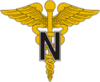 USA - Army Medical Nurse.png
