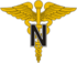 США - Army Medical Nurse.png