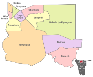 Wahlkreiskarte Oshikoto