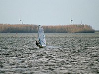 Windsurfen op Veluwemeer.