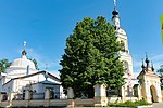 Липа сердцевидная (Tilia cordata Mill.)