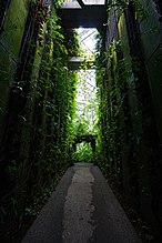 高知県立牧野植物園みどりの回廊