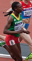 Abeba Aregawi, amtierende Weltmeisterin und Olympiadritte von 2012, errang Silber