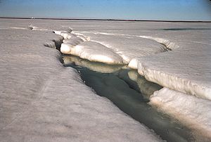 The first sign of the spring melt - a stream i...