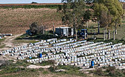 Producción de miel en Adana