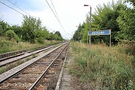 Station Brzeziny