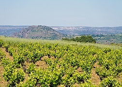 Vides en Aldeadávila