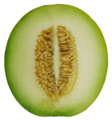 Honeydew