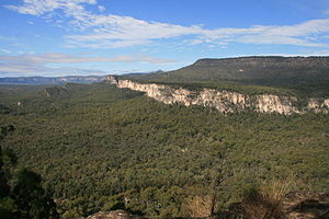 Carnarvon Gorge from Boolimba Bluff