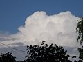 Cumulonimbus calvus, zonder duidelijke toppen