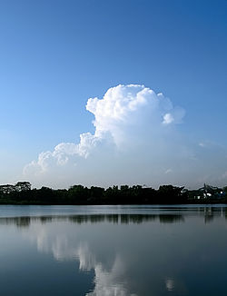 Cirrus clouds over the Lower Seletar Reservoir (333740180).jpg