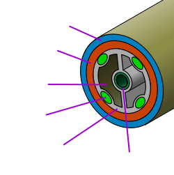 A coelomate animal is basically a set of concentric tubes, with a gap between the gut and the outer tubes.