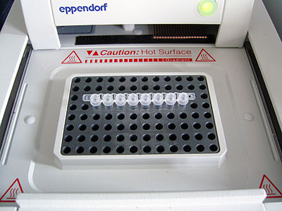 Apparat til genopformering, PCR ('polymerase chain reaction')