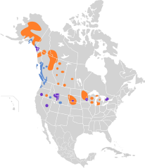 Mapa występowania