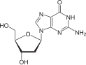 structure chimique de la désoxyguanosine