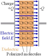 The electrons within dielectric molecules are influenced by the electric field, causing the molecules to rotate slightly from their equilibrium positions. The air gap is shown for clarity; in a real capacitor, the dielectric is in direct contact with the plates. Capacitors also allow AC current to flow and blocks DC current. 