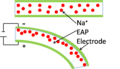 Pisipilt versioonist seisuga 19. märts 2010, kell 06:22