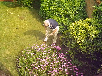 Gardening as therapy Gardening.jpg