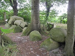 Großsteingrab Meyenburg