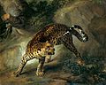 Leopardo, Jean-Baptiste Oudry (1741).