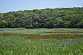 2016年5月6日 (金) 13:33時点における版のサムネイル