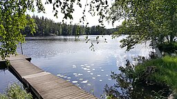 Långsjön i Lilla Malma socken, 9 juni 2018