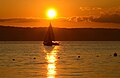 Cat: Sunsets on Lake Constance