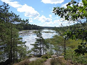 Maderna från NW, riktning S, den 1 augusti 2020.