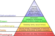 Diagram illustrating the "hierarchy of needs" theory of Abraham Maslow (1908-1970). Click to enlarge. Maslow's hierarchy of needs.png
