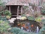 Massee Lane Gardens fish pond.JPG