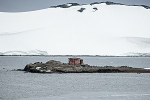 Die kleine Insel D’Hainaut im Mikkelsen Harbor, mit der argentinischen Schutzhütte und zahlreichen Eselspinguinen, und im Hintergrund die vergletscherte Steilküste der Trinity-Insel