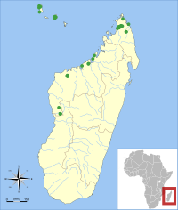 Distribución do Miniopterus griveaudi