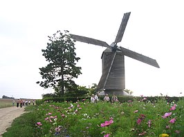 Windmolen Moulin de la Garenne