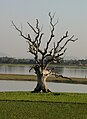 Lake Taungthaman