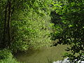 Stausee im Naherholungsgebiet Nathebachtal in der Aplerbecker Mark