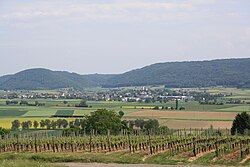 Schaffhausen on kumpuilevaa Mittellandia, jossa viljellään mm. viiniä.