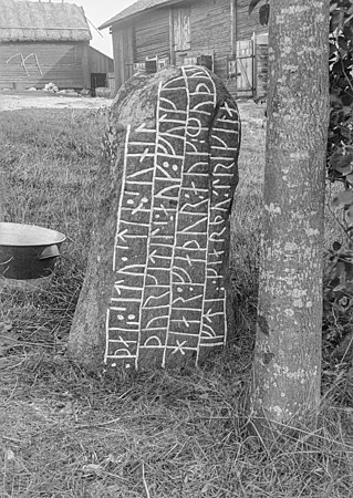 32. Södermanland Runic Inscription 113
