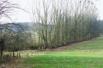 Panzersperren bei Aachen-Köpfchen, Relikte des Westwalles