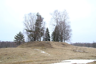 Petrešiūnų piliakalnis: RaDonas. 0