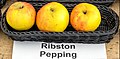 Ribston Pepping