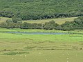 River Thaw, Flemingston Moor