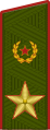 Đại tướng Lục quân Nga