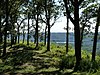 Wyalusing State Park Mounds Archeological District