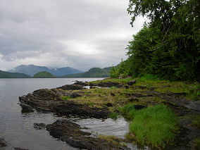 Tongass Map