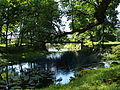 Võidula mõisa park ja Käru jõgi.