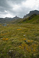 Blick vom Val de Réchy auf den Berg La Maya.