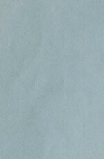 Миниатюра для Файл:Л.И. Мечников, Цивилизация и великие исторические реки Географическая теория развития современных обществ (1878).pdf