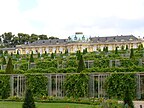 Schloss Sanssouci und Weinbergterrassen