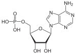 Miniatura per Monofosfat d'adenosina